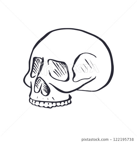 Hand drawn black and white line art human skull 122195738