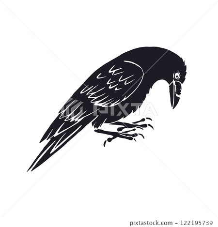 Hand drawn inky sketch style raven or crow isolated on white background 122195739