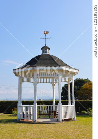 白色喬木 122195855