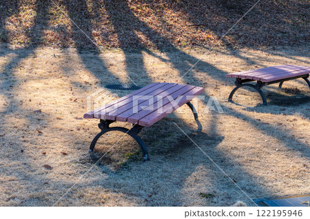 國立 Musashikyuryo 森林公園的長凳 122195946