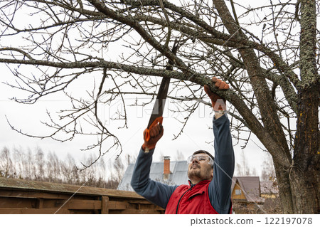 Pruning trees in an autumn garden. Close-up of hands with a saw cutting old branches. 122197078