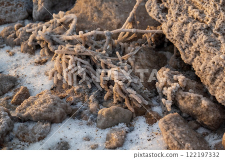 Close-up of salt and mineral formations on stones outdoors 122197332