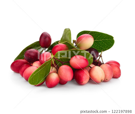 Carissa carandas Linn or Bengal currants, fruits isolated on white background. Carissa carandas Linn or Bengal currants, fruits isolated on white background. 122197898