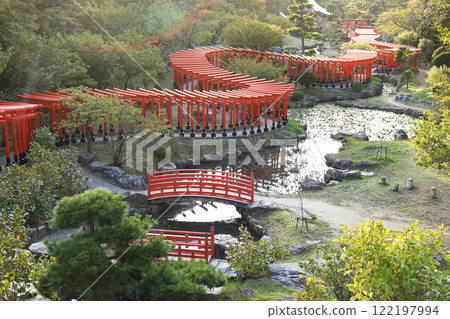 A thousand torii gates twisting like a sun-soaked dragon A thousand torii gates twisting like a sun-soaked dragon 122197994