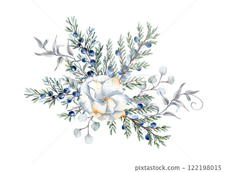Juniper branches, berries and white camellia watercolor illustration isolated. Greenery coniferous in soft colors hand drawn. Delicate evergreen plant, pale floral botanical sketch for nature design. 122198015