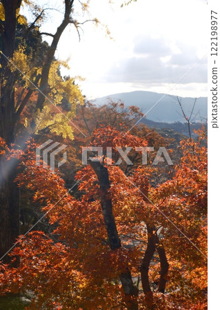 Spectacular autumn scenery and foliage 122198977