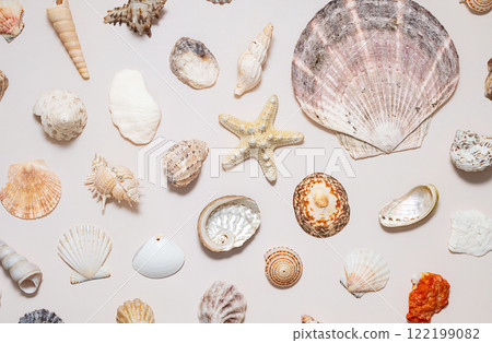 Variety collection of marine treasure. Variety collection of marine treasure. 122199082