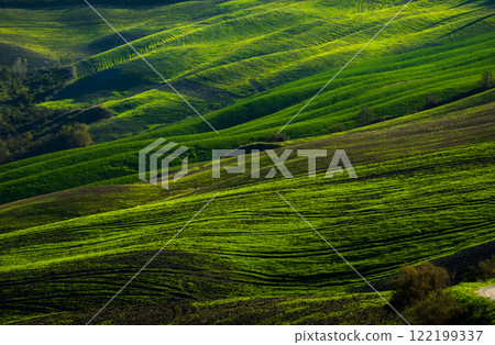 Vibrant green rolling hills illuminated by warm sunlight Vibrant green rolling hills illuminated by warm sunlight 122199337