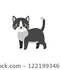 Cute black and white cat illustration 122199346