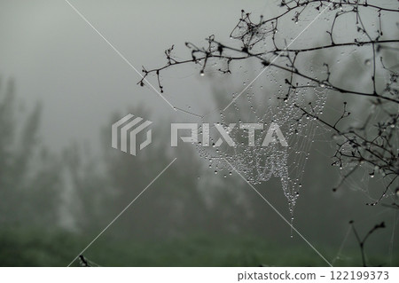 Dew-covered spiderweb hanging from branches in foggy countryside atmosphere 122199373
