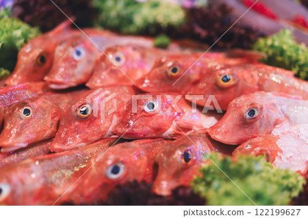Closeup of vibrant red fish on display at a market 122199627