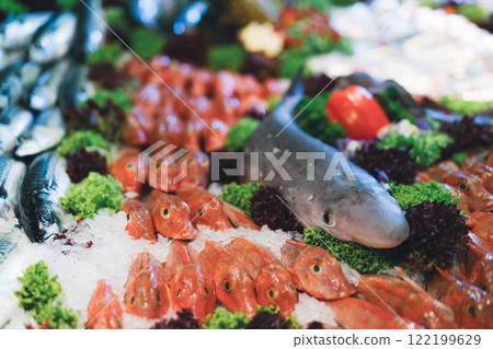 Shark and red fish on display at a seafood market Shark and red fish on display at a seafood market 122199629