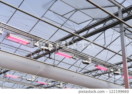 Greenhouse roof with artificial red grow lights 122199660