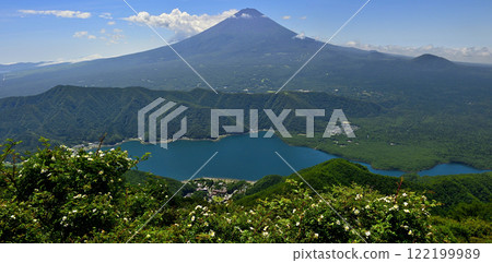 從野玫瑰盛開的御坂山雪戸岳眺望富士山和西湖的全景 122199989