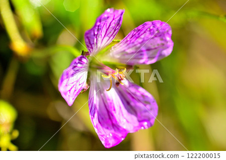 禦坂山脈的雪戶岳。 122200015