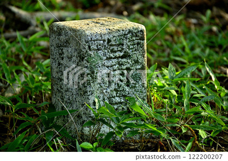 Fourth-order triangulation point (Okuboyama) on Mt. Junigatake in the Misaka Mountains 122200207