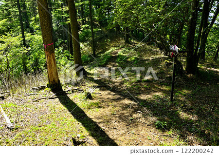Misaka Mountains Trail: Junction at the saddle between Junigatake and Kanayama Misaka Mountains Trail: Junction at the saddle between Junigatake and Kanayama 122200242