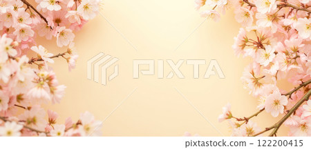 Blooming cherry blossom branches with delicate pink flowers and petals falling, springtime scene, peaceful nature, pastel background, floral theme, banner, copy space 122200415