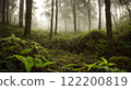 A forest deep in the mountains shrouded in mist 122200819