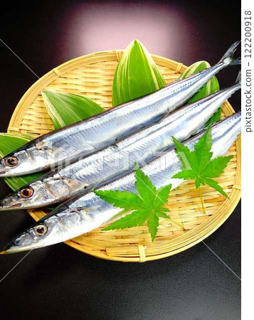 Sanma Sanma Sanma Sanma Sanma Sanma 122200918