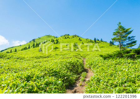 夏季登山希雅山、貓山(希雅山、貓山) 夏季登山希雅山、貓山(希雅山、貓山) 122201396