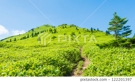 夏季登山希雅山、貓山(希雅山、貓山) 夏季登山希雅山、貓山(希雅山、貓山) 122201397