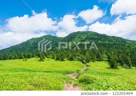 夏季攀登希雅山、貓山（貓山～希雅山） 122201404