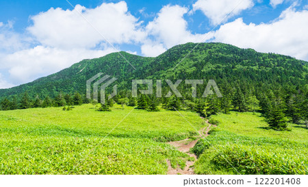 夏季攀登希雅山、貓山(貓山~希雅山) 夏季攀登希雅山、貓山(貓山~希雅山) 122201408