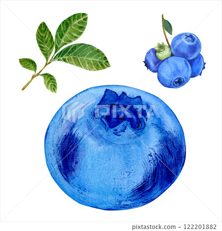 Watercolor set with blueberries on a white background. Ripe berries for label design. Organic healthy food. Botanical illustration. Watercolor set with blueberries on a white background. Ripe berries for label design. Organic healthy food. Botanical illustration. 122201882