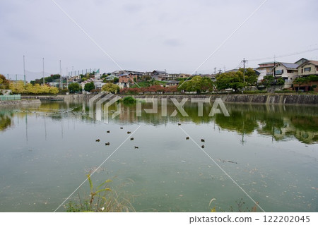 新池的秋天風景(西宮市古座町) 新池的秋天風景(西宮市古座町) 122202045