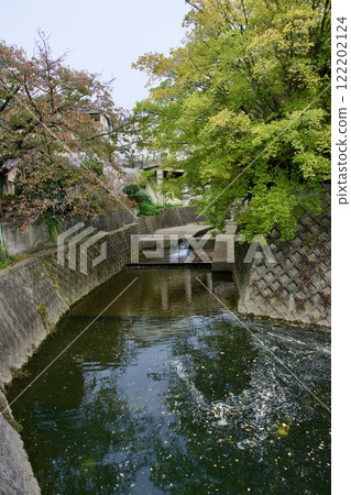 新池的秋天風景(西宮市古座町) 新池的秋天風景(西宮市古座町) 122202124