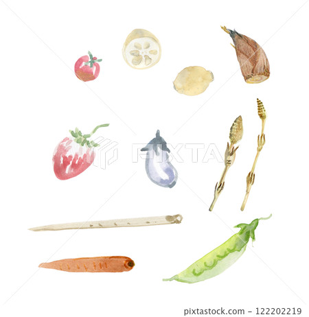 vegetable set 122202219