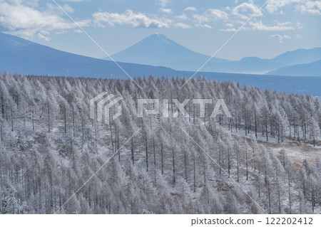 Fuji and cloud ice 122202412