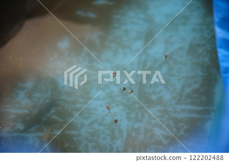 一個小湯匙在水里 一個小湯匙在水里 122202488