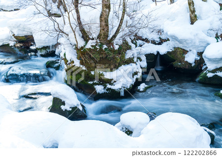 "Aomori Prefecture" Snow-covered Oirase Gorge: Winter natural beauty "Aomori Prefecture" Snow-covered Oirase Gorge: Winter natural beauty 122202866