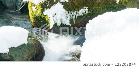 "Aomori Prefecture" Snow-covered Oirase Gorge: Winter natural beauty 122202874