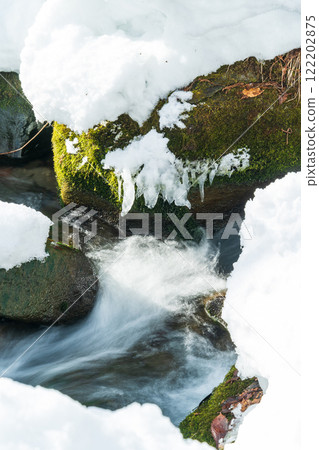 "Aomori Prefecture" Snow-covered Oirase Gorge: Winter natural beauty 122202875