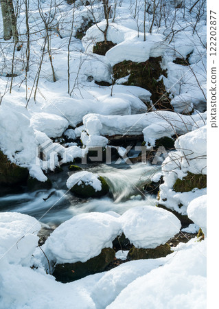 "Aomori Prefecture" Snow-covered Oirase Gorge: Winter natural beauty "Aomori Prefecture" Snow-covered Oirase Gorge: Winter natural beauty 122202877