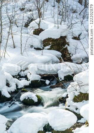 "Aomori Prefecture" Snow-covered Oirase Gorge: Winter natural beauty 122202879