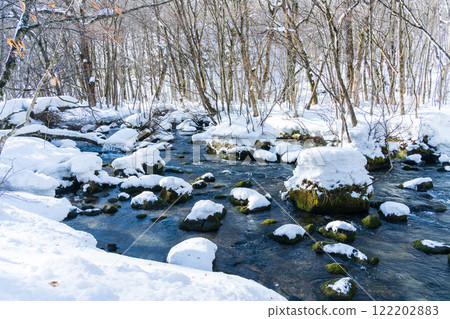 "Aomori Prefecture" Snow-covered Oirase Gorge: Winter natural beauty 122202883