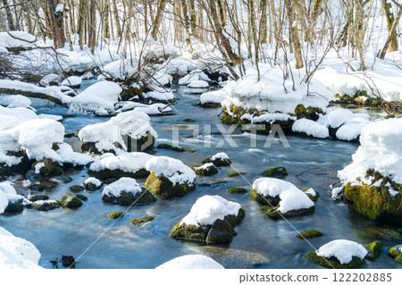 "Aomori Prefecture" Snow-covered Oirase Gorge: Winter natural beauty "Aomori Prefecture" Snow-covered Oirase Gorge: Winter natural beauty 122202885