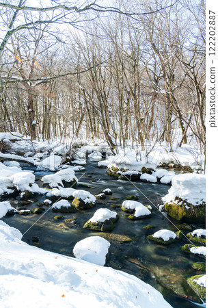 "Aomori Prefecture" Snow-covered Oirase Gorge: Winter natural beauty 122202887