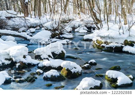 「青森縣」冰雪覆蓋的奧入瀨溪流 - 冬天的自然美景 122202888