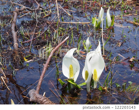 Ozegahara的水basho 122203143