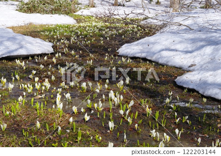 Ozegahara的水basho Ozegahara的水basho 122203144