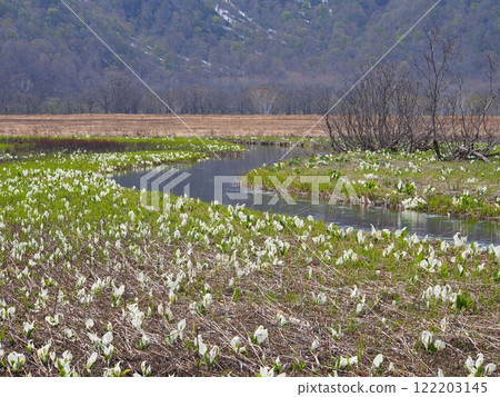 Ozegahara的水basho 122203145