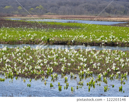 Ozegahara's water basho Ozegahara's water basho 122203146