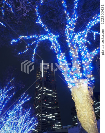Kanagawa Prefecture Grand Mall Park illuminations and Landmark Tower in December 122203421