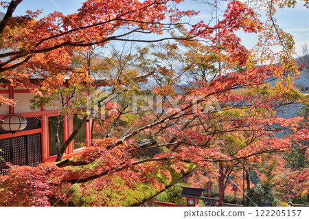 Autumn leaves of Kurama-dera Temple 122205157