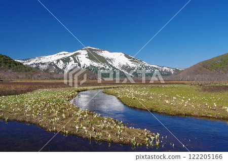 臭菘開花的尾瀨原和殘雪的慶鶴山 122205166